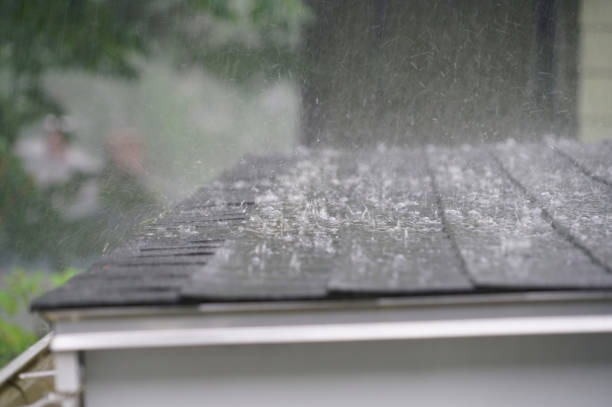 Best Commercial Roofing Services  in Big Lake, WA