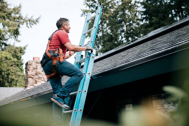 Best Skylight Installation and Repair  in Big Lake, WA